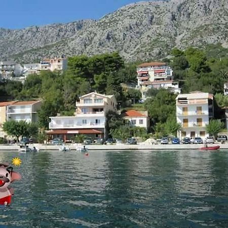 Riva Apartments Živogošće المظهر الخارجي الصورة
